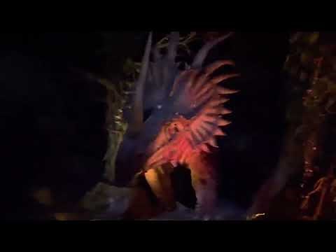 Carnotaurus “B-Mode” on Dinosaur at Disney’s Animal Kingdom