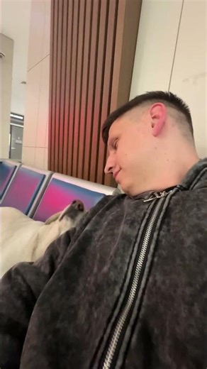 Labrador Retriever Resting on Airport Seats Nuzzles Traveler