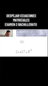 Solving Matrix Equations - 2nd Year High School Exam | ProfeDMarquez