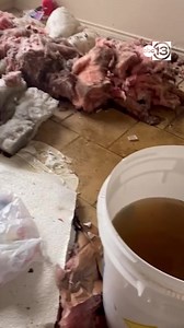 74K views · 246 reactions | Mejia says she and her mother have reported the damage to the City of Houston. After living at Pine Shadows for 18 years, they hoped to at least be offered a temporary unit. "They said no," she said. "They're not doing anything." https://abc13.com/post//16849267/ | ABC13 Houston | Facebook