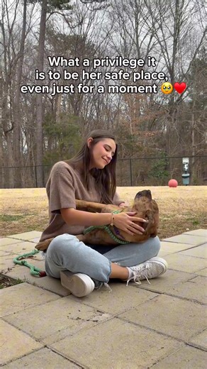 Meet Skylar 🐶💛 When she first arrived at BAS, she was very skittish around new people. Day by day, she’s learning to trust again and letting her gentle heart shine. Skylar has so much love to give, and once she trusts you, she’ll never stop wanting to be close, sharing all the snuggles and affection she has to offer. 🐾 Come meet Skylar at BAS! | Burlington Animal Services