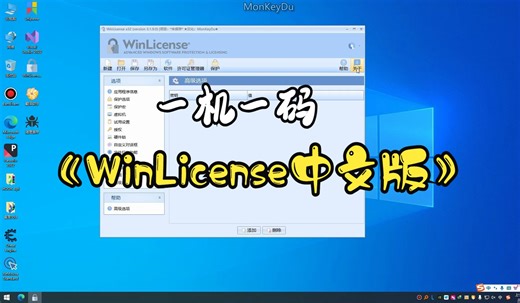 WinLicense 汉化版 (一机一码)