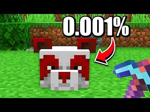 I Collected Every Rarest Item In Minecraft Hardcore