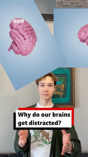 11K views · 110 reactions | Why do our brains get distracted?  易 Here's how it happens and how you can avoid it. Hear more on CrowdScience  https://www.bbc.co.uk/sounds/play/w3ct4y5b #revision #distractions | BBC World Service | Facebook