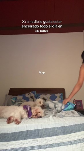 Videos de Valentína.Pineda (@valentinapineda61) con “sonido original - Julieth Palacios M”