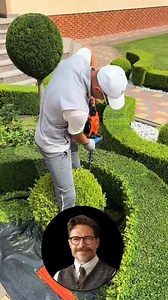 Esto es lo que separa un jardín de un palacio. 👑 #therandomizeshow #MetodoRandomize #CaosAOrden #TerapiaVisual #ElSecretoDelJardinero #IngenieriaDeJardines #topiaria #jardin | The Randomize Show