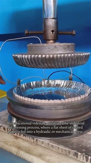 How Paper Plates Are Made: The Industrial Die-Pressing Process