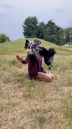 Roni Sagi - Keta Tov on Instagram: "Jagoda and Esme killing it in Jumping tricks! 🇵🇱 Love this team Love this crazy dog 💙💙💙 . . #mudi#hungarianmudi#dogdance#dogtricks#dogsofpoland#polishdog#dogtricksofinstagram"
