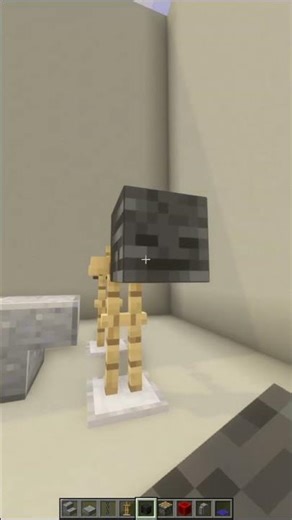 Minecraft Gym Setup 💪