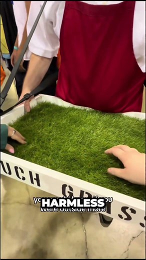 Here’s Why You Should Always Go Outside 🌳