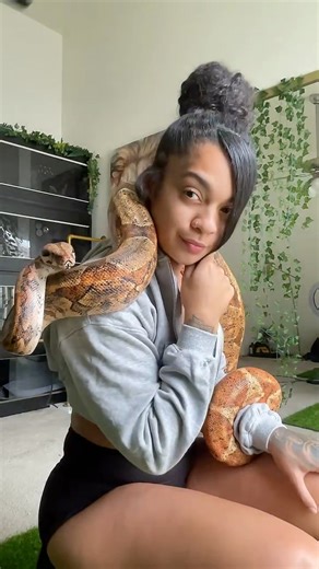 383K views · 4.5K reactions | Tsunami says Hi  #boaconstrictor #reptilelover #snakesofinstagram #boasnake | Kenziemaack | Facebook