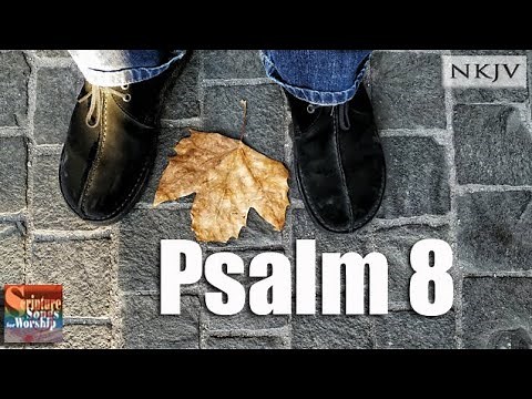 Psalm 8 (NKJV) Song "O Lord, Our Lord, How Excellent is Your Name in All the Earth" (Esther Mui)