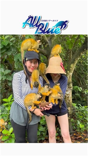 黒帯さん^ ^ on Instagram: "【おきな/石垣】石垣やいま村でめぐる、島文化と自然アクティビティ― 漁師の暮らし・リスザル・マングローブカヤック体験 ― 石垣島の魅力をぎゅっと詰め込んだテーマパーク 「石垣やいま村」。 最初に訪れたのは、昔の漁師の暮らしを再現した展示エリア。 古民家や漁具がそのまま残され、海とともに生きた島人の生活を感じられます。 赤瓦の家並みに触れると、どこか懐かしい島時間が流れ出すよう。 続いて向かったのは、園内でも特に人気の リスザルの森。 人懐っこい小さなリスザルたちが肩に乗ったり手のひらに寄ってきたり、 自然の中で触れ合える癒しのコンテンツです。 かわいらしい表情に心がふっと和みます。 そのあとは、園内発着の マングローブカヤックツアーに参加。 ガイドは オールブルー石垣島・担当 カオリさん。 静かな水面にマングローブが映り込む幻想的な風景の中を、 丁寧なレクチャーのもとゆっくりと漕ぎ進めます。 初心者にも優しいコースで、石垣島の自然をじっくり味わえる人気ツアーです。 ■ カヤックツアー案内 オールブルー石垣島（担当：カオリさん） 公式サイト：