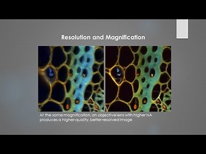 Basic Optical Microscopy