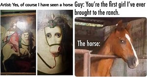 18 Hilarious Horse Memes