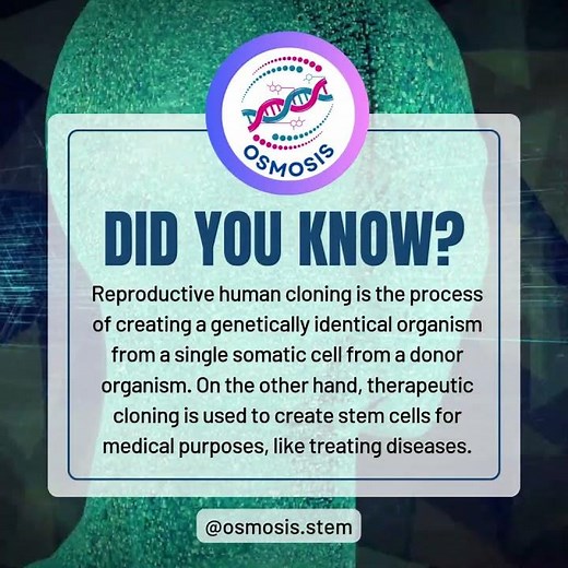 Did You Know? Reproductive vs. Therapeutic Cloning: Two Distinct Paths in Genetics! 🧬✨
