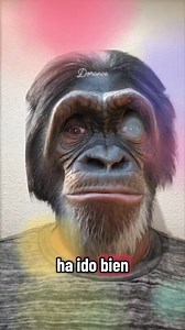 si quieres probar no te pases de...... #viralvideochallenge #facebookviral #lifestyle #familyfriendly #humorlatino #humor #chistes #comics | Dorance Taborda Londoño