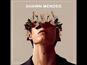 Shawn Mendes - In My Blood (Official Music Video)