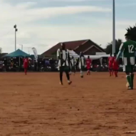 Shake It Up: Dance Moves