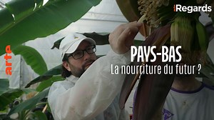 ARTE Regards - Pays-Bas, la nourriture du futur ? - Regarder le documentaire complet