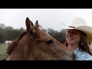 Cinematic Horse Film - Ride with us