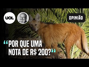 Nota de R$200: Entenda por que o Banco Central vai lançar nova cédula