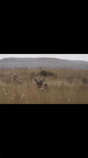 @dannyfarris and a heart pumping moment! | Ultimate Predator