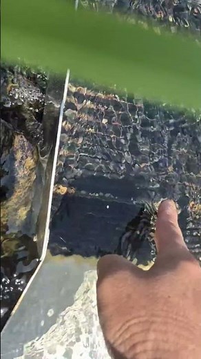 A perfect gold panning site! And amazing terrain! #gold #goldpanning #goldpanning