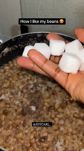 Exploring Different Types of Beans: From Green Beans to Black Beans