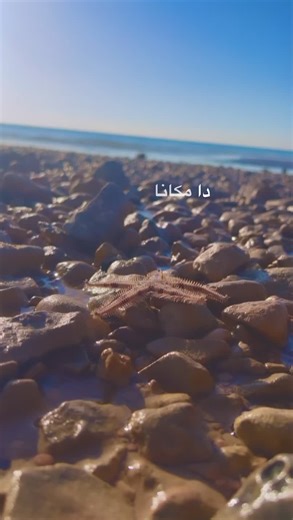 اغنية في حته تانيه عبد الباسط - دون موسيقى
