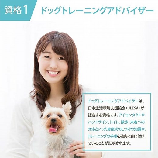 ドッグトレーニングアドバイザー資格取得の通信講座！【SARAスクール】【ドッグトレーニング資格】 #資格 #通信講座
