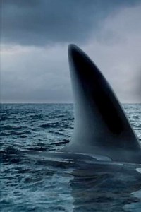 Ocean of Fear (2007) - Movie