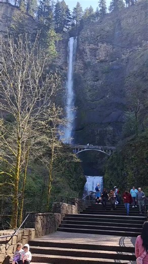 #paisaje #verde #cascade #salmon #river #primavera#nature#mountain#foryou#forest #aguaviv#birdwatching #happynewyear #frend