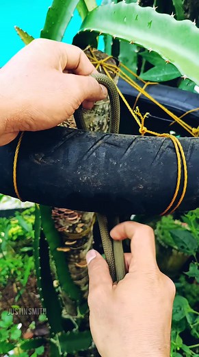 1.8K views | A Complete and Super Simple Rope Knot Technique Explained in Detail, Designed So Anyone Can Learn, Follow, and Repeat This Easy Step-by-Step Method Anytime They Need It” #KnotTutorial #a #rope #HowToTie #RopeSkills #KnotGuide #ParacordKnot #CampingKnot #Bushcraft | Justin Smith | Facebook