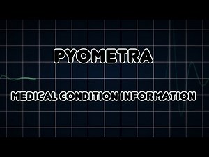 Pyometra (Medical Condition)