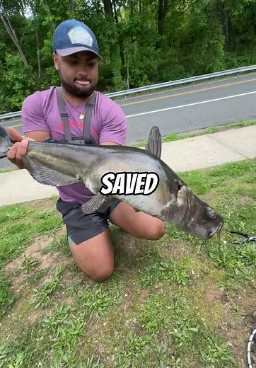 Catch Massive Fish: Tips for Fishing Success