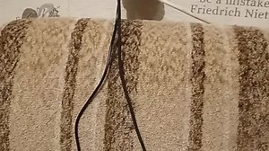 VID_20240130_183319.mp4