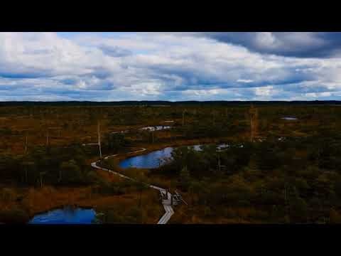 The Gathering Storm | Dramatic Instrumental Music