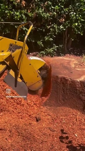 Stump Grinding