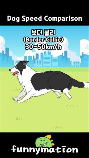 제일 빠른 개는 무엇? #강아지 #개 #애니 #만화 #animation #animation