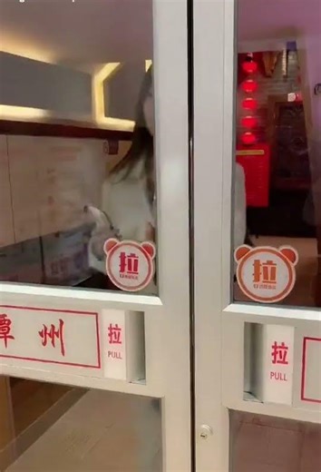 Trang điểm nhẹ cho buổi hẹn hò 💄💕约会甜美妆容 💄#DateMakeup #约会妆 #Beauty