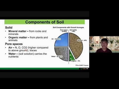Components of the Soil