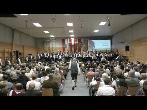 04 - Einzug Musikkapelle Kuchl -11680007