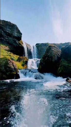 Nature 4k clips 🌿| subscribe @skRefajx for more 🕊️