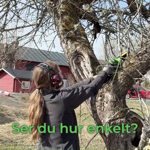 Mini motorsåg 12V med batteri - SETrimmer, 1-1