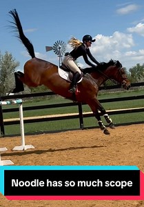 Noodle Clears a 1.50m Jump with Ease — Needs Bigger Standards