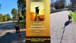 Musher song. Inspiring Dog Song. | Christopher Dean