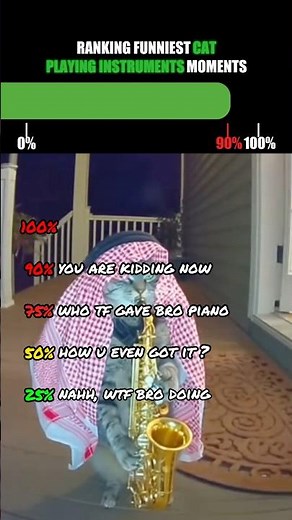 Ranking Funniest Cat Playing Instruments Moments🤣 (part 2)