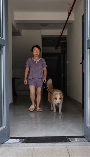 和狗狗来一组搞笑的