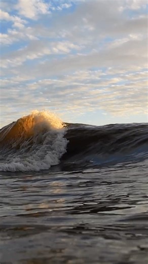 Instagram video by A.Shankar M.S / M.B.A (SOFTWARE ENGG AND FINANCE) • Jan 20, 2026 at 7:39 AM